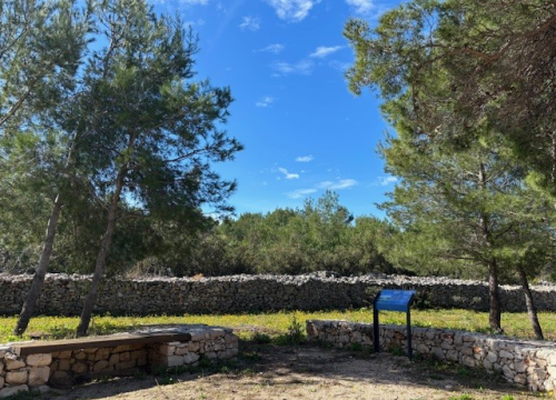 Istražite razigrani svijet podmorja i ušča Krke u uvali Minerska u subotu i nedjelju