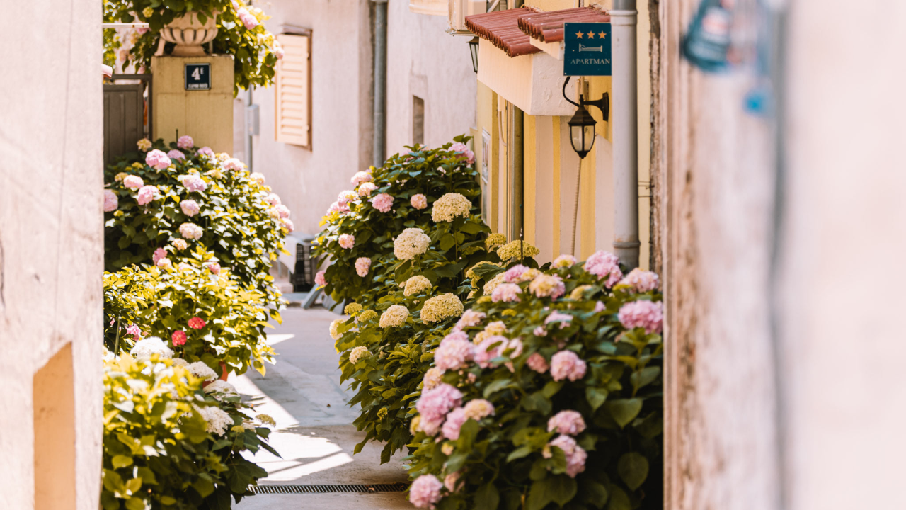 Primjeri dobre prakse: TZ Šibensko-kninske županije poziva na besplatnu edukaciju za iznajmljivače
