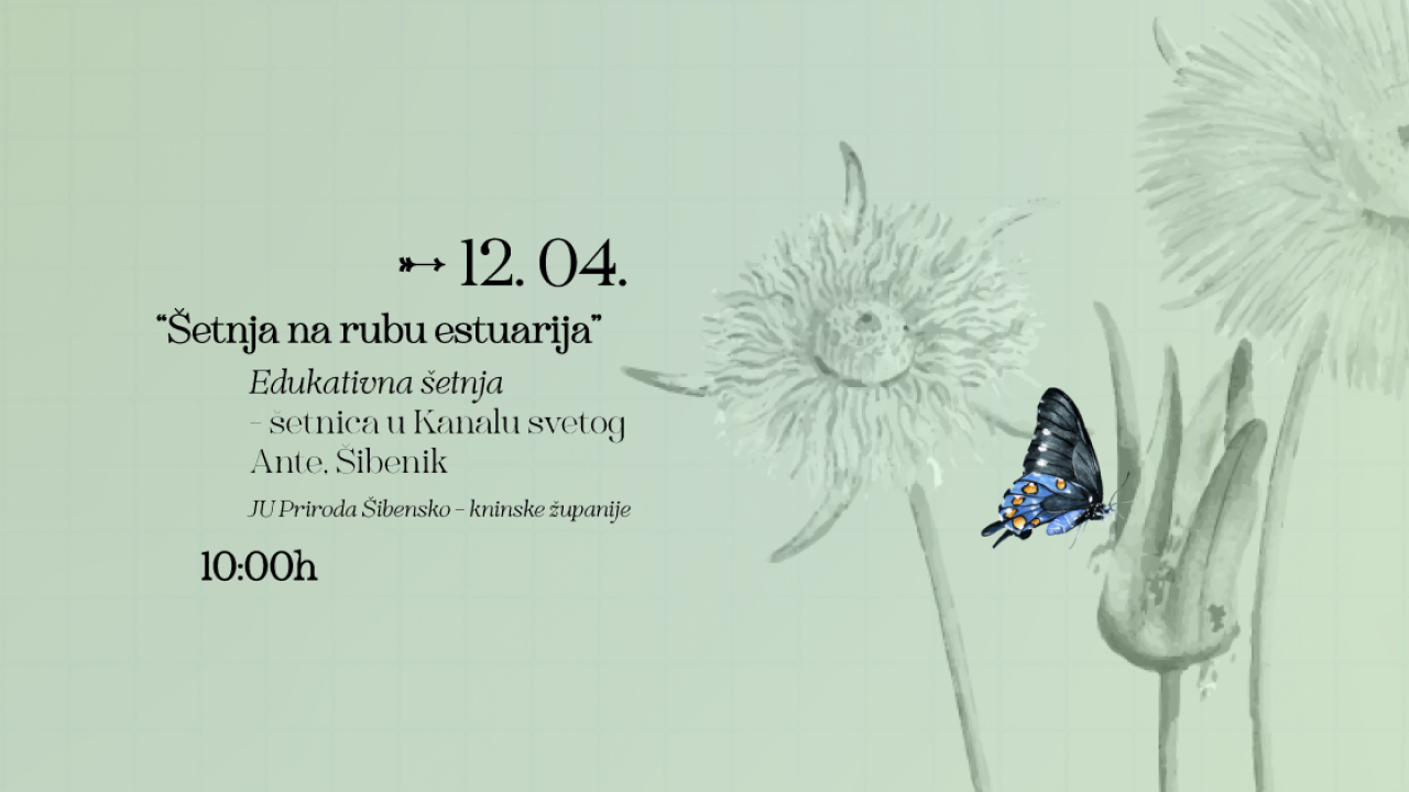 Festival prirode Flora Dalmatica 'ušao' u drugi tjedan: Radionice za djecu, razgledi grada, umjetnički program...