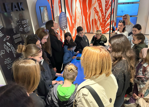 Fotografija 6 - Vesna Parun rođena na današnji dan