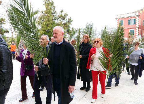 Brojni Šibenčani okupili se na blagoslovu maslinovih grančica i procesiji