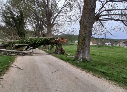 Vatrogascima nema predaha: Srušeno stablo u Drnišu, oštećeni automobili u Šibeniku