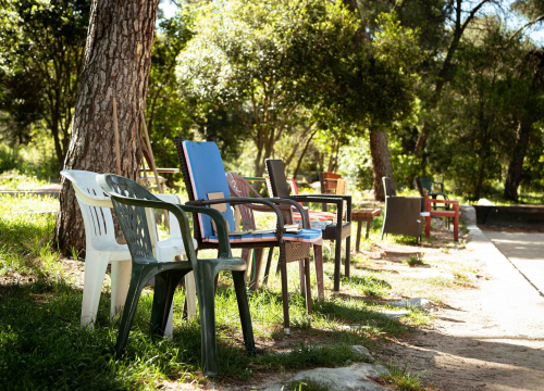 Šibenski vodiči u petak vas vode na zelenu turu Šubićevcem
