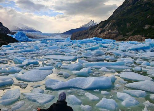 Fotografija 5 - Veliki Gogo, prvi Šibenčanin na Antarktici: 'Skočio sam u more dva puta, a pingvini baš i ne mirišu najbolje'