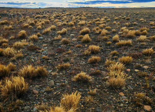 Fotografija 19 - Veliki Gogo, prvi Šibenčanin na Antarktici: 'Skočio sam u more dva puta, a pingvini baš i ne mirišu najbolje'