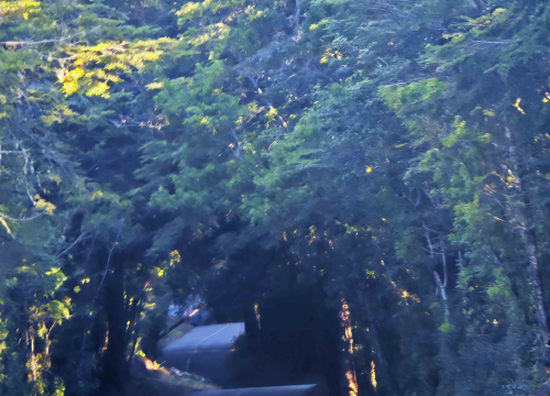 Fotografija 18 - Veliki Gogo, prvi Šibenčanin na Antarktici: 'Skočio sam u more dva puta, a pingvini baš i ne mirišu najbolje'