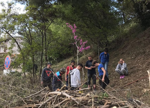 Društvo arhitekata Šibenik poziva na akciju čišćenja i uređenja Robertinog parka u Docu