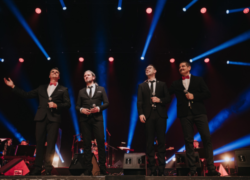 HDZ sutra slavi 35. rođendan u županiji: Četiri tenora poslušat će i Plenković