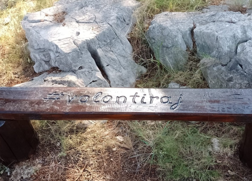 Fotografija 2 - Volonteri nastavljaju s radom na očuvanju murterskog Colentuma