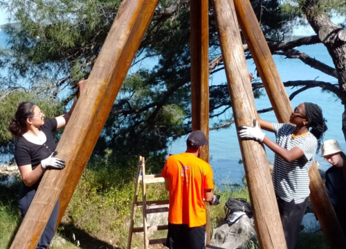 Fotografija 1 - Volonteri nastavljaju s radom na očuvanju murterskog Colentuma