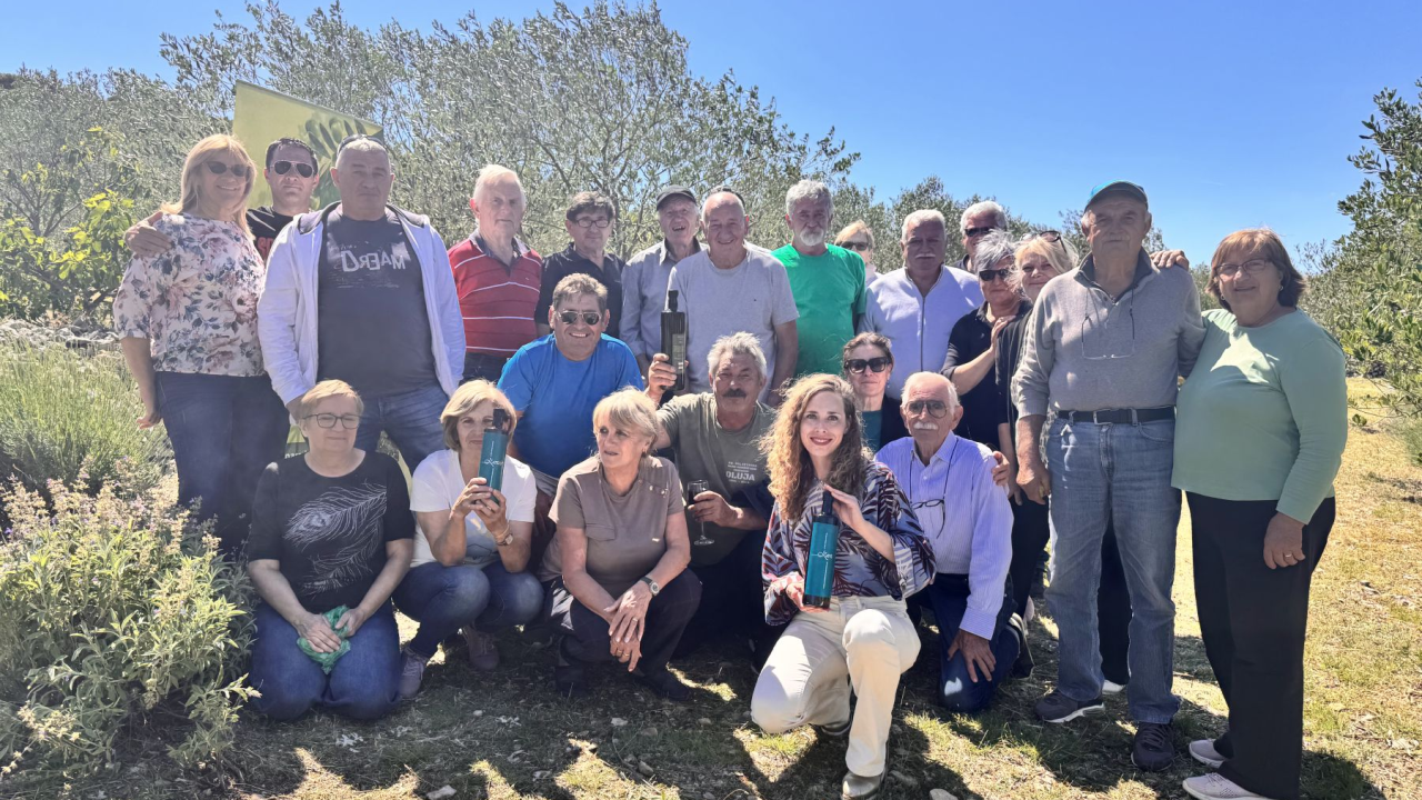 Pirovačko maslinovo zlato: Udruga 'Uljanica' proslavila vrijedna međunarodna priznanja