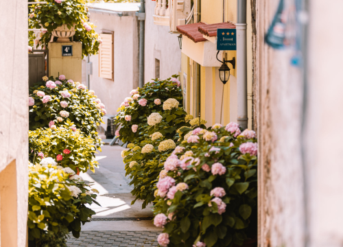 Većina iznajmljivača nije podigla cijene. Iz Udruge poručuju Vladi: ''Neka vam se vlastita licemjerja ne obiju o glavu'