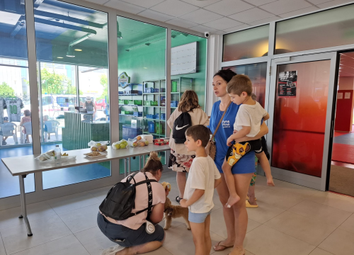 Gradska dvorana u Omišu prihvatila 80 osoba, uglavnom stranaca