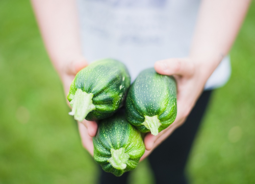 Kako izvući najbolje iz tikvica