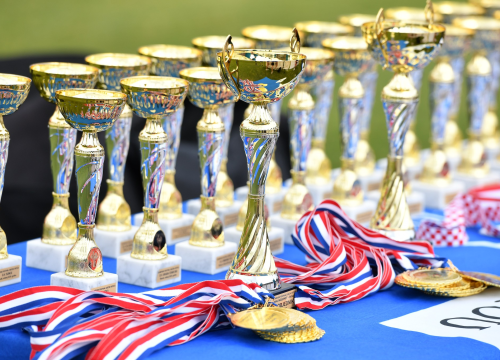 U županijskom proračunu za financiranje sporta namijenjeno 328 tisuća eura, evo tko će dobiti najveći dio kolača