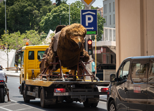 Ono kad stanete na semaforu na Poljani, a u vas s kamiona bulji ogromna ptičurina