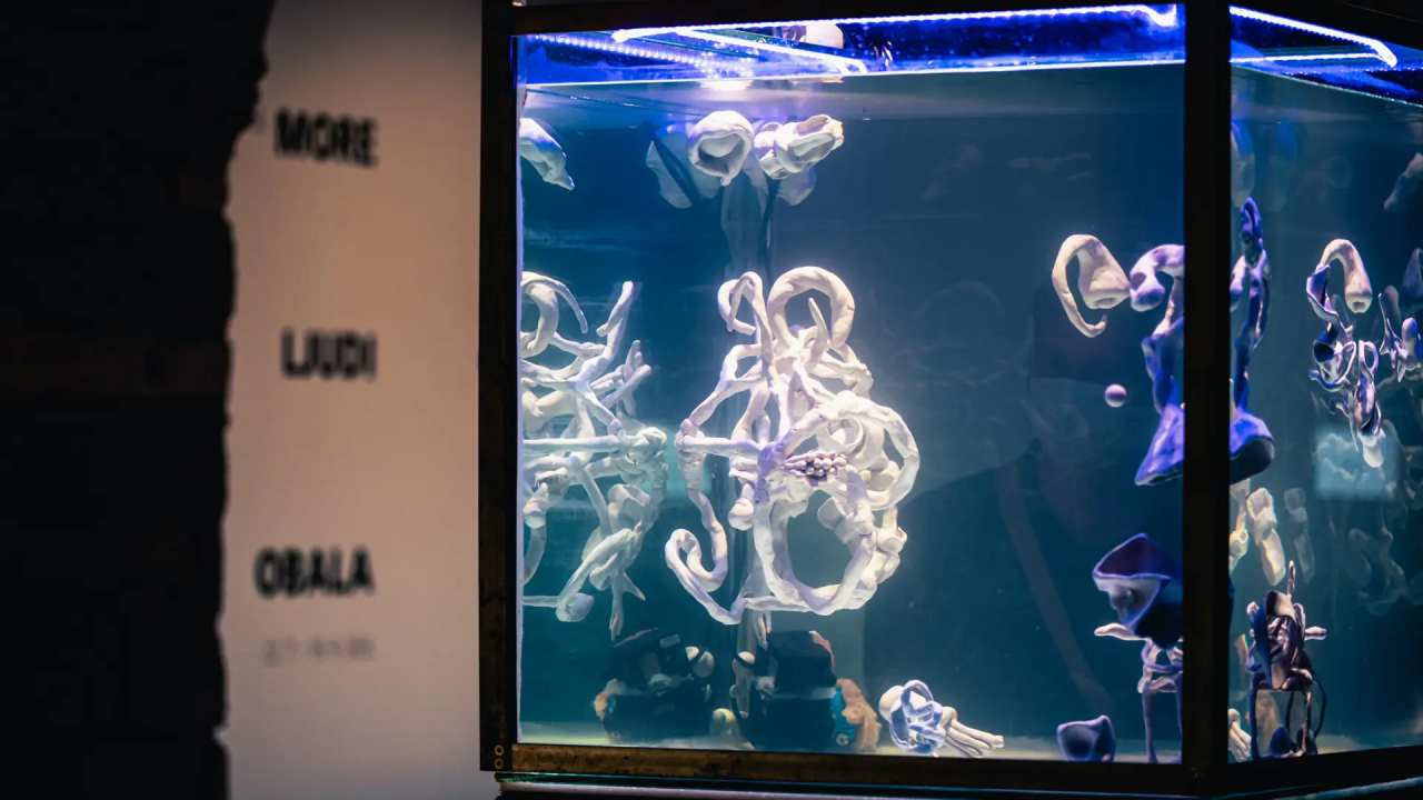 U četvrtak otvorenje izložbe 'More, ljudi, obala'