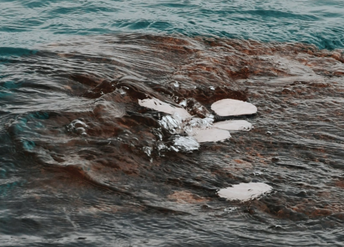 Otvorenje izložbe 'Val od soli' Nataše Ninić: Valovi, kristali i tišina u Galeriji sv. Krševana