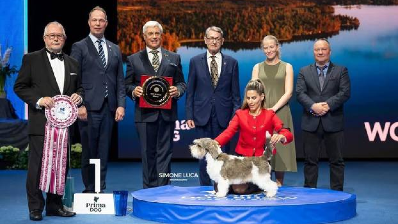 Drniška ljepotica Meghan osvojila titulu najljepšeg psa na svijetu