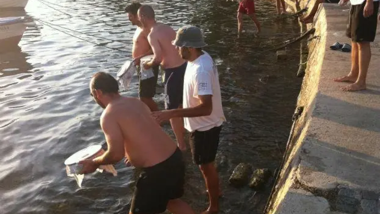 I ovog ljeta ćemo na Zlarinu dobiti prvaka svijeta u lovu na ciple na teću