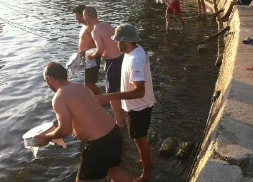 I ovog ljeta ćemo na Zlarinu dobiti prvaka svijeta u lovu na ciple na teću