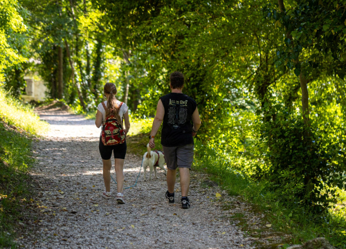 NP „Krka“ – mjesto za ljubitelje prirode i njihove četveronožne prijatelje