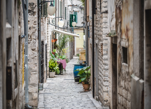 AS-EKO najavio preventivnu deratizaciju na području grada Šibenika