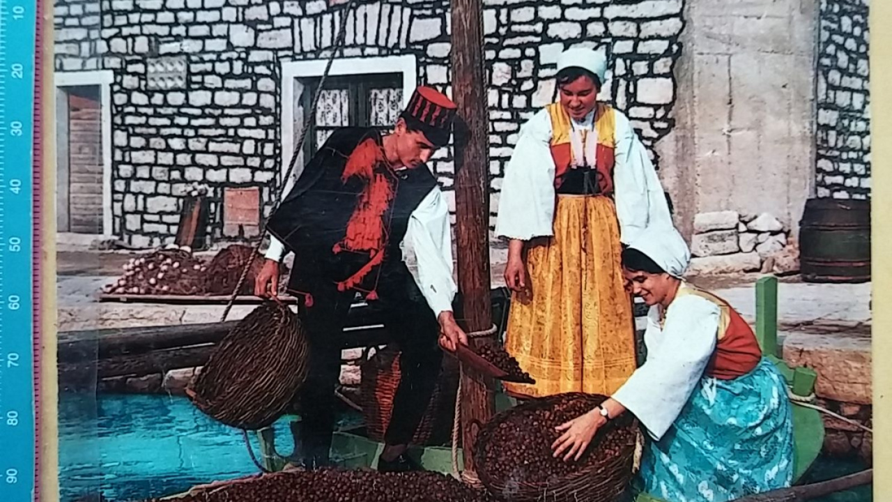 Prezimenske slike Vodica, Srime, Prvića i zaleđa: Od Cukrova i Ivasa do Roce i Šprljana