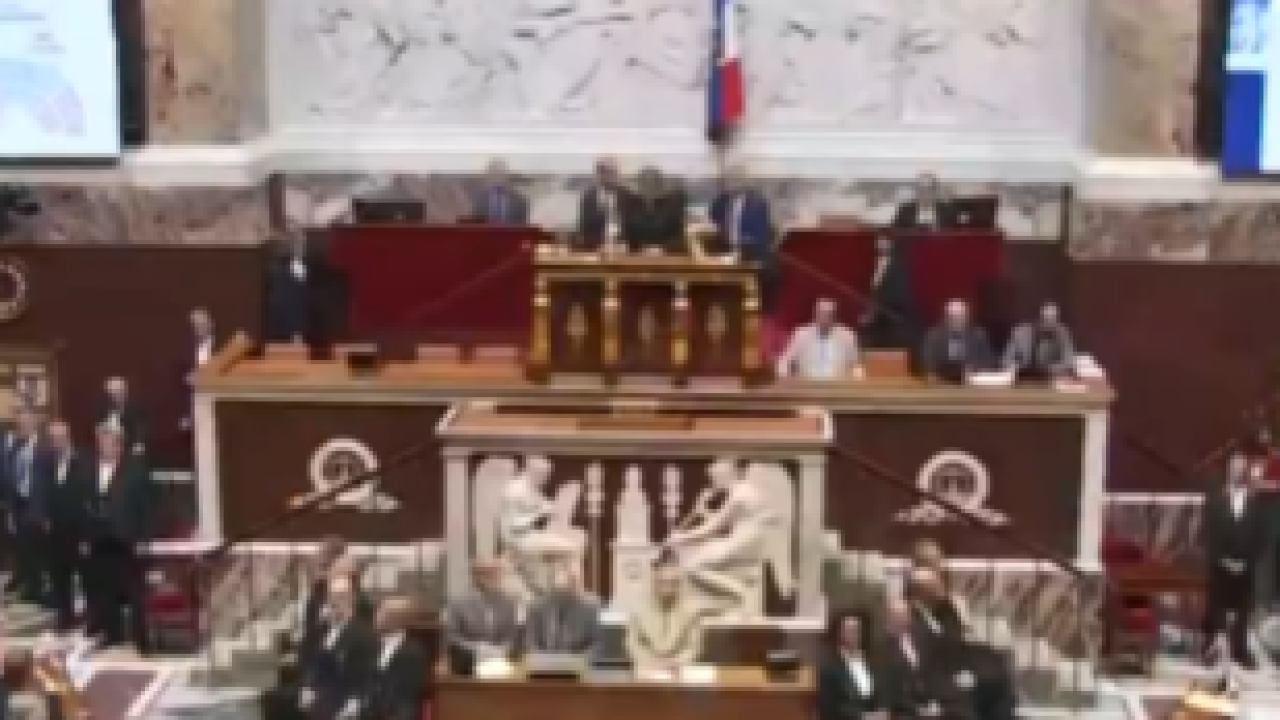 Pala francuska vlada