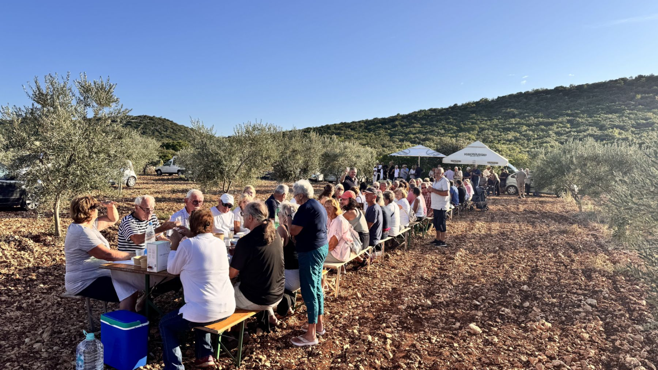 'Piknikom u masliniku' Ante Urema i Borislava Čubrića službeno završilo 'Lito u Pirovcu'