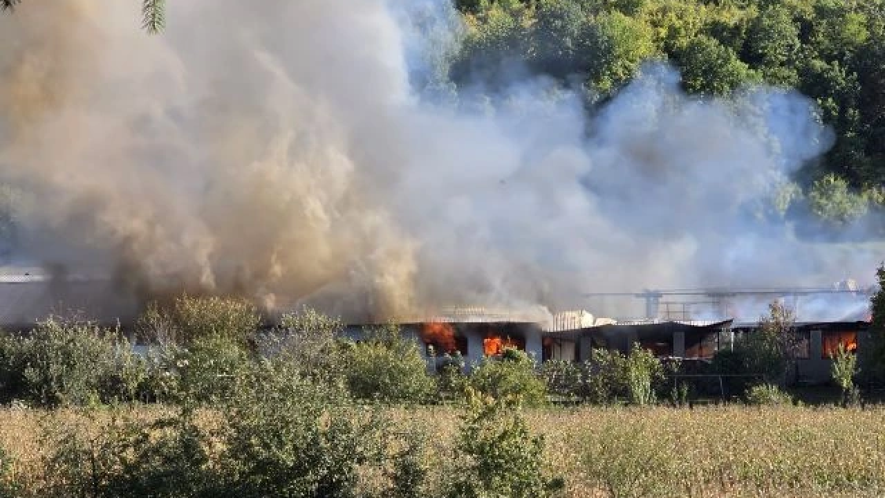 Gori tvornica stolarije u Slavoniji, vatrogasci se bore s vatrenom stihijom