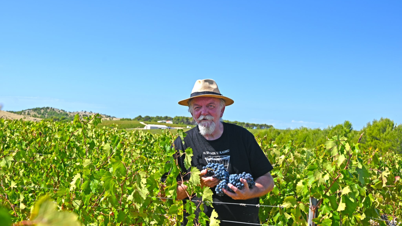 Priča o ćukteru:  Jeste li znali da su šibenski težaci od ciđe radili slatku deliciju?