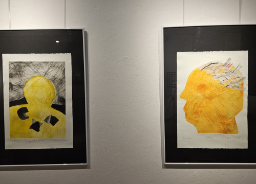 Fotografija 15 - U galeriji Kninskog muzeja otvoren 2. Trijenale portreta. Dodijeljene nagrade najboljim autorima