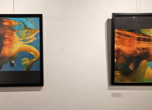 Fotografija 21 - U galeriji Kninskog muzeja otvoren 2. Trijenale portreta. Dodijeljene nagrade najboljim autorima