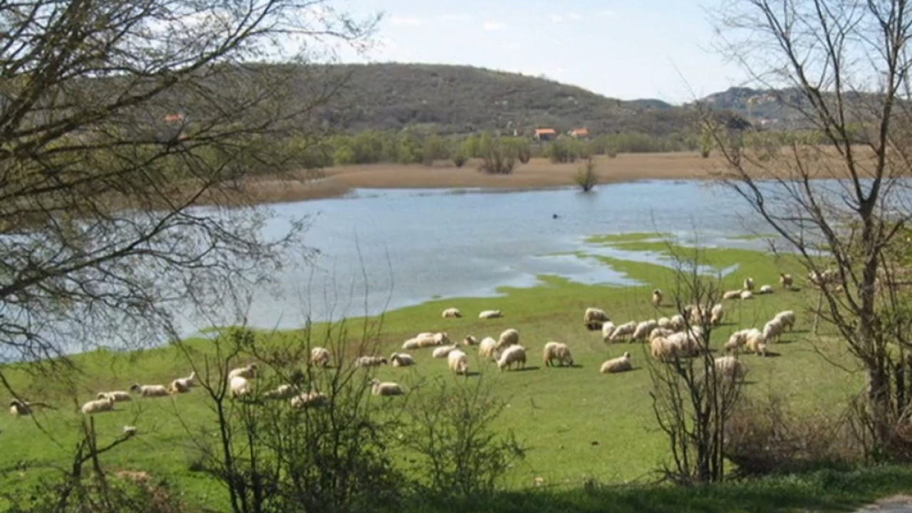 Prezimena iz općina Biskupija, Civljane, Ervenik i Kijevo: Od Amanovića i Bjedova do Šimprage i Teskere