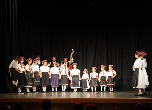 Fotografija 11 - Održan 7. Festival dječjeg folklornog stvaralaštva u Vodicama