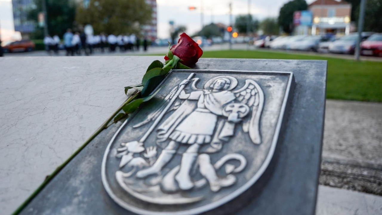 Središnja svečanost 34. obljetnice Rujanskog rata: Mimohod branitelja i bakljada na Šibenskom mostu