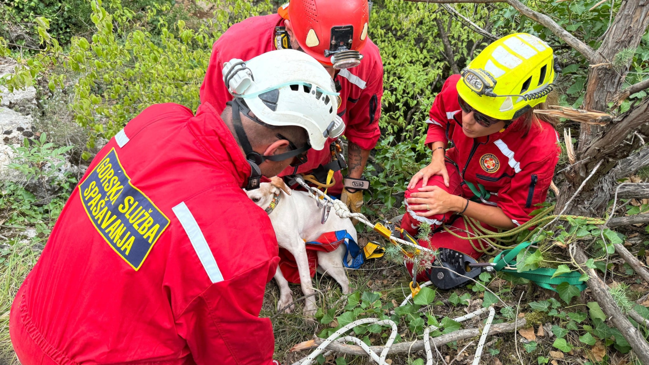 Šibenski HGSS-ovci u Unešiću spasili psa iz jame duboke 15 metara