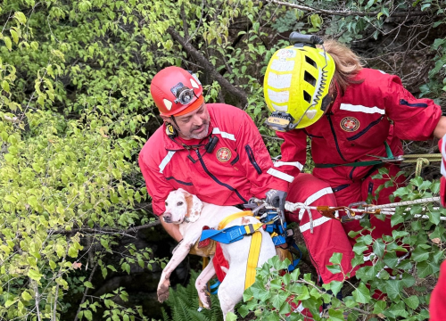 Fotografija 3 - Šibenski HGSS-ovci u Unešiću spasili psa iz duboke jame