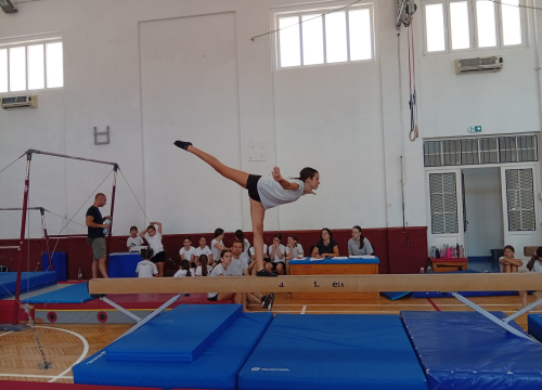 'Turnir sv. Mihovila' okupit će ovog vikenda 200 gimnastičara i gimnastičarki