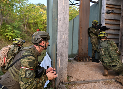 Fotografija 4 - Spektakularna vojna vježba kraj Knina: Pauci i Gromovi odmjerili snage