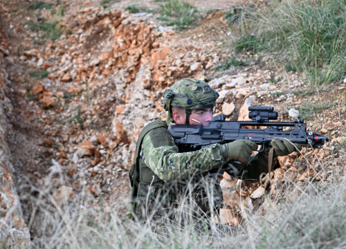 Fotografija 14 - Spektakularna vojna vježba kraj Knina: Pauci i Gromovi odmjerili snage