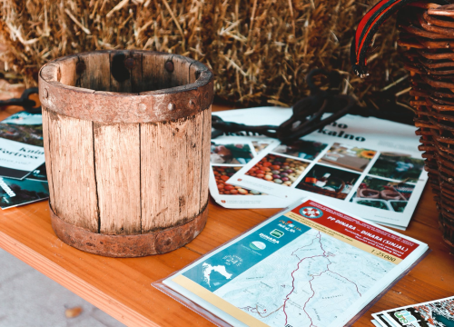Fotografija 19 - U Kninu održan prvi Festival starih zanata i Festival diplara