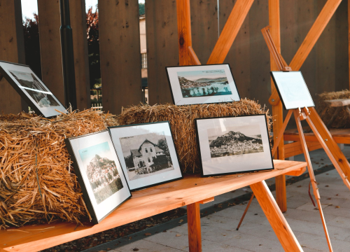 Fotografija 9 - U Kninu održan prvi Festival starih zanata i Festival diplara