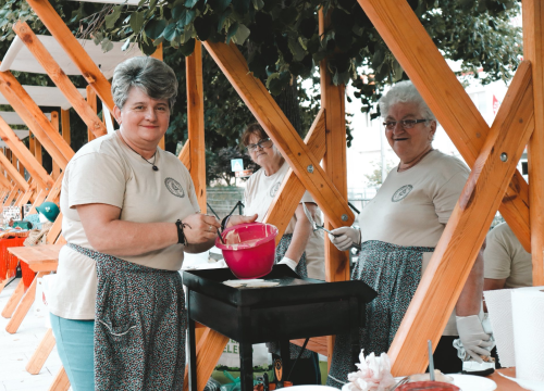 Fotografija 16 - U Kninu održan prvi Festival starih zanata i Festival diplara