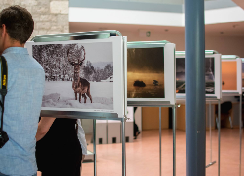 Običaji, kulturne znamenitosti, tradicija... U Muzeju otvaranje izložbe 'Volim svoju županiju'