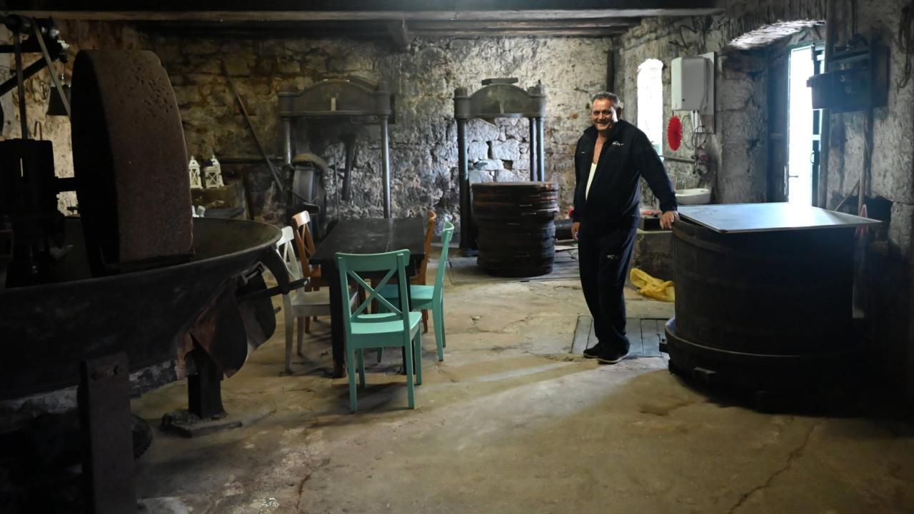 Zlato Kruševa i ponos Primoštena: Uljarske priče i spiza koja je othranila generacije