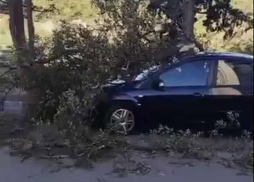 Na Šubićevcu se odlomilo stablo i zaustavilo automobil