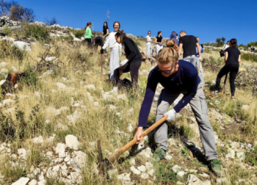 Nova akcija Boranke: Ovog vikenda pošumljavanje požarišta u Lozovcu