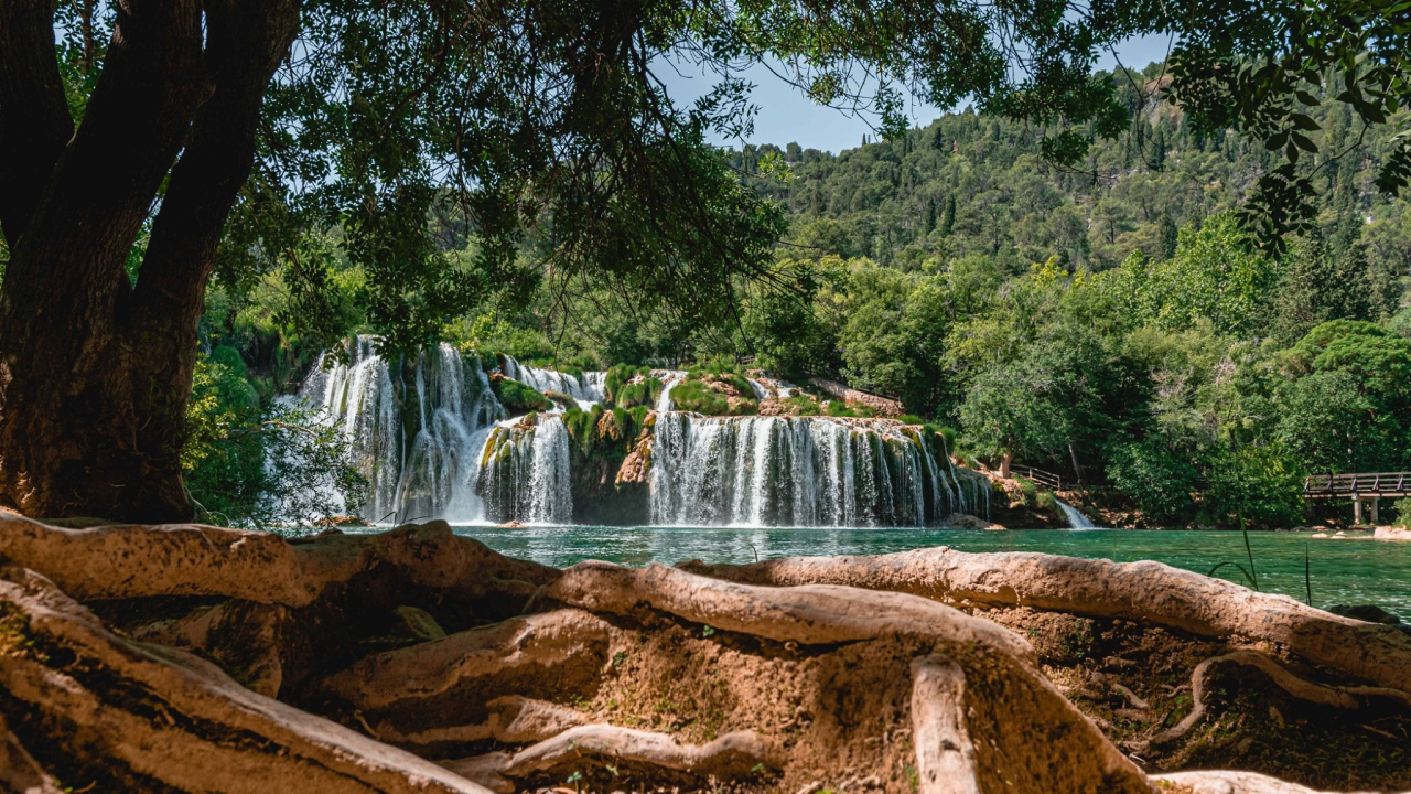 NP 'Krka' i Šibenske šape treću godinu zajedno: Za svako novo udomljavanje slobodan ulaz